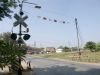 PICT1305.JPG